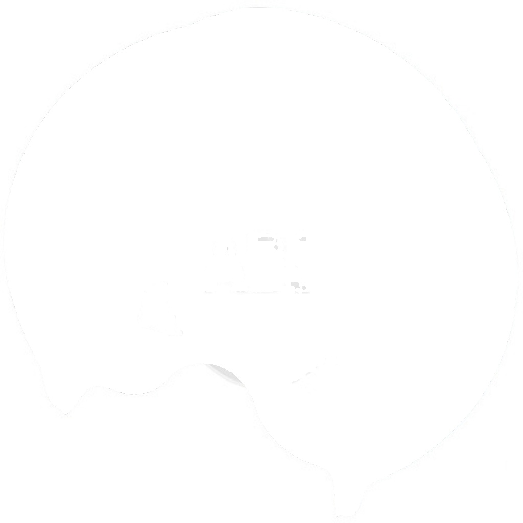 Brake disc cover 11040 A.B.S. for SEAT VW SKODA AUDI