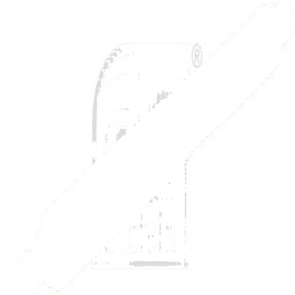 FEBI BILSTEIN GAS SPRING, BOOT/CARGO AREA BOTH SIDES CITROËN C5