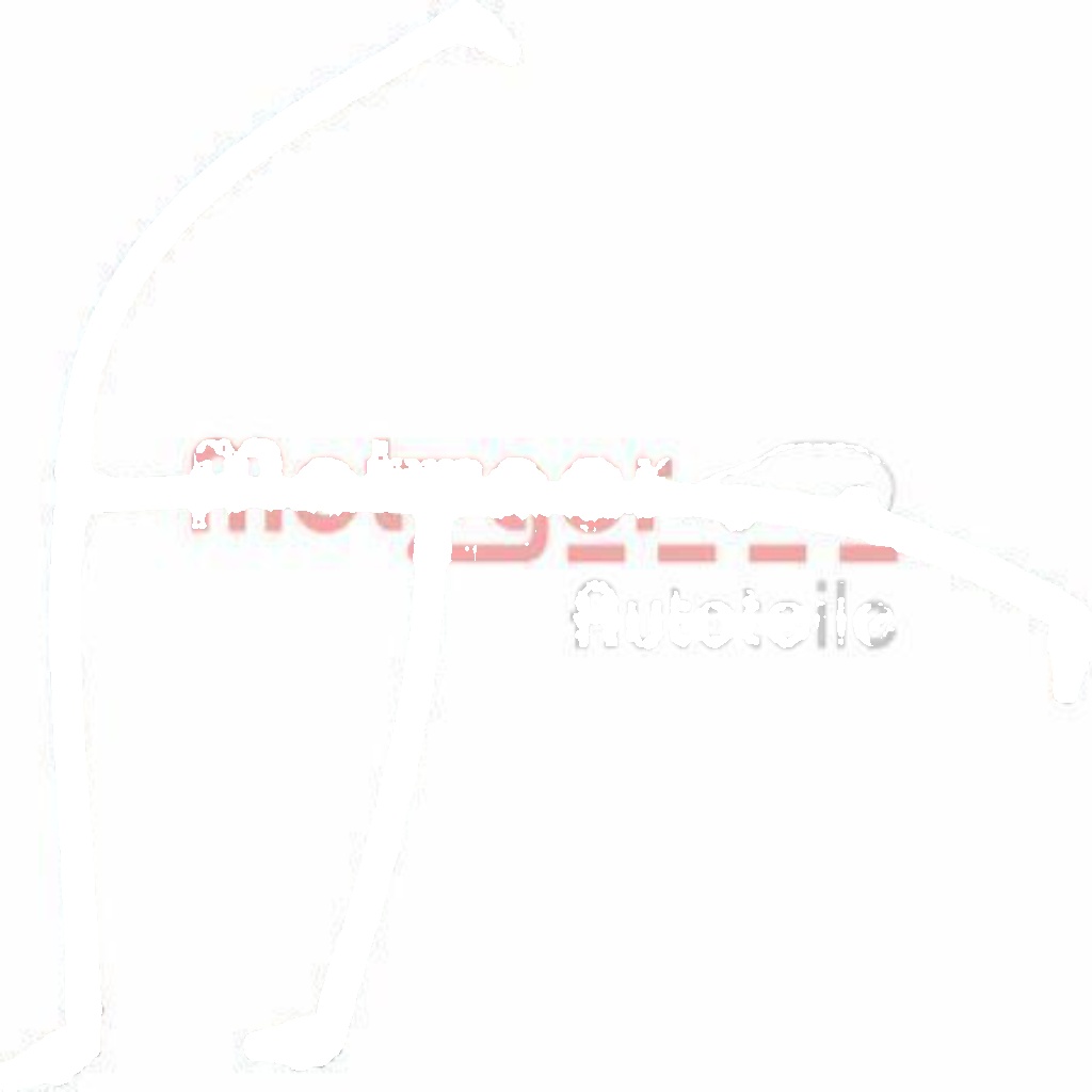 METZGER 0840049 Hose, fuel overflow for SEAT,SKODA,VW