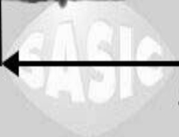 SASIC 1940006 Oil Dipstick for CITROËN,PEUGEOT
