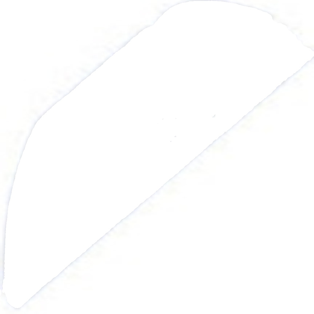 Front Right NTY NPW-RE-204 Drive Shaft for RENAULT