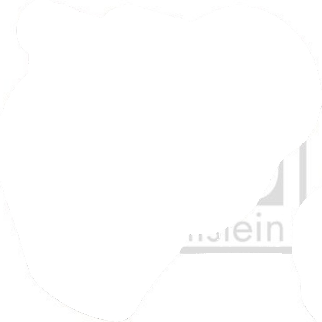 FEBI 171821 TOWBAR SOCKET