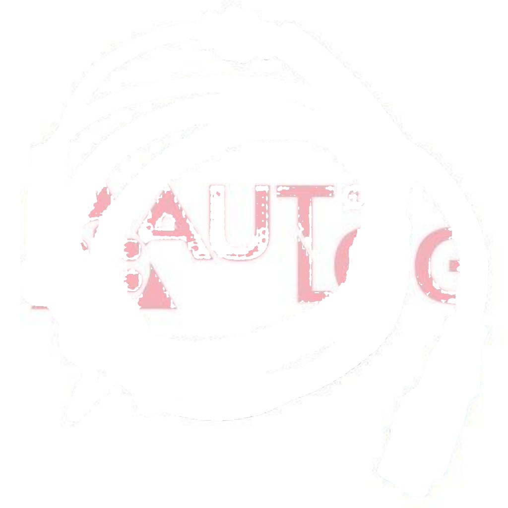 Front AUTLOG AS4171 Sensor, wheel speed for CITROËN