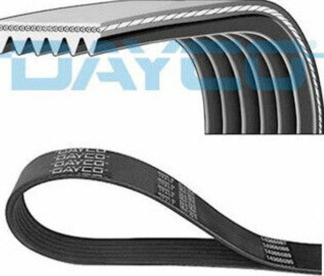 DAYCO-OE 6PK815S V-Ribbed Belt for FIAT