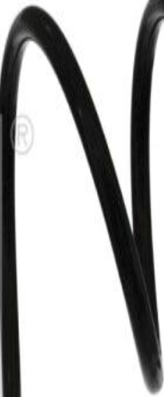 Front FERDINAND BILSTEIN 46819 Coil Spring for FIAT