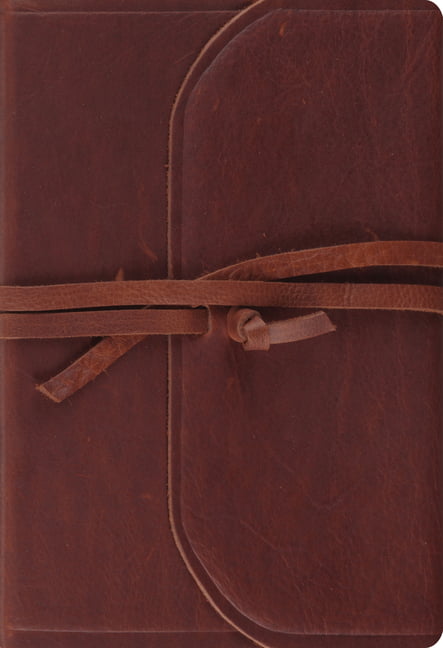 ESV Student Study Bible by  . - 9781433588549
