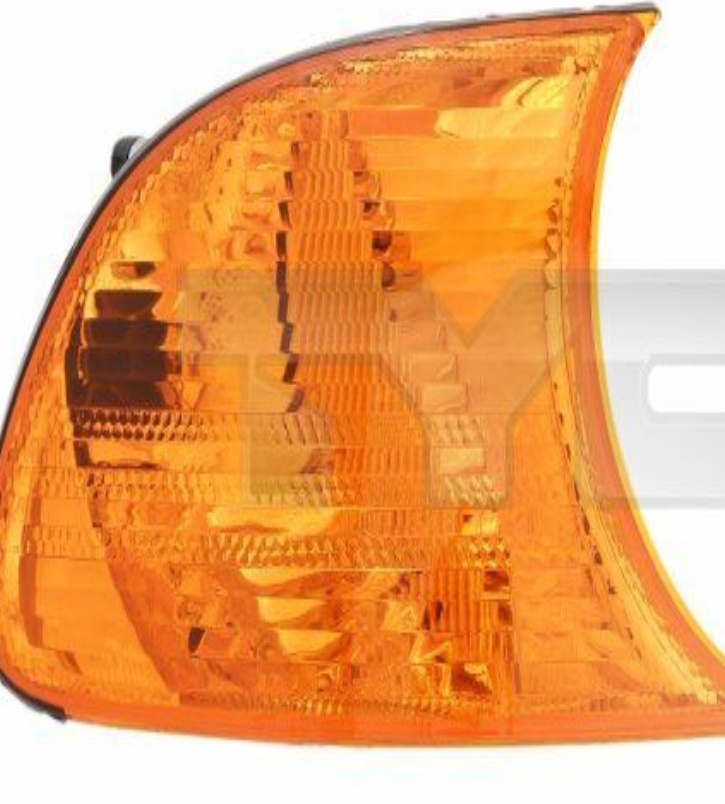 Right TYC 18-5913-05-2 Indicator for BMW