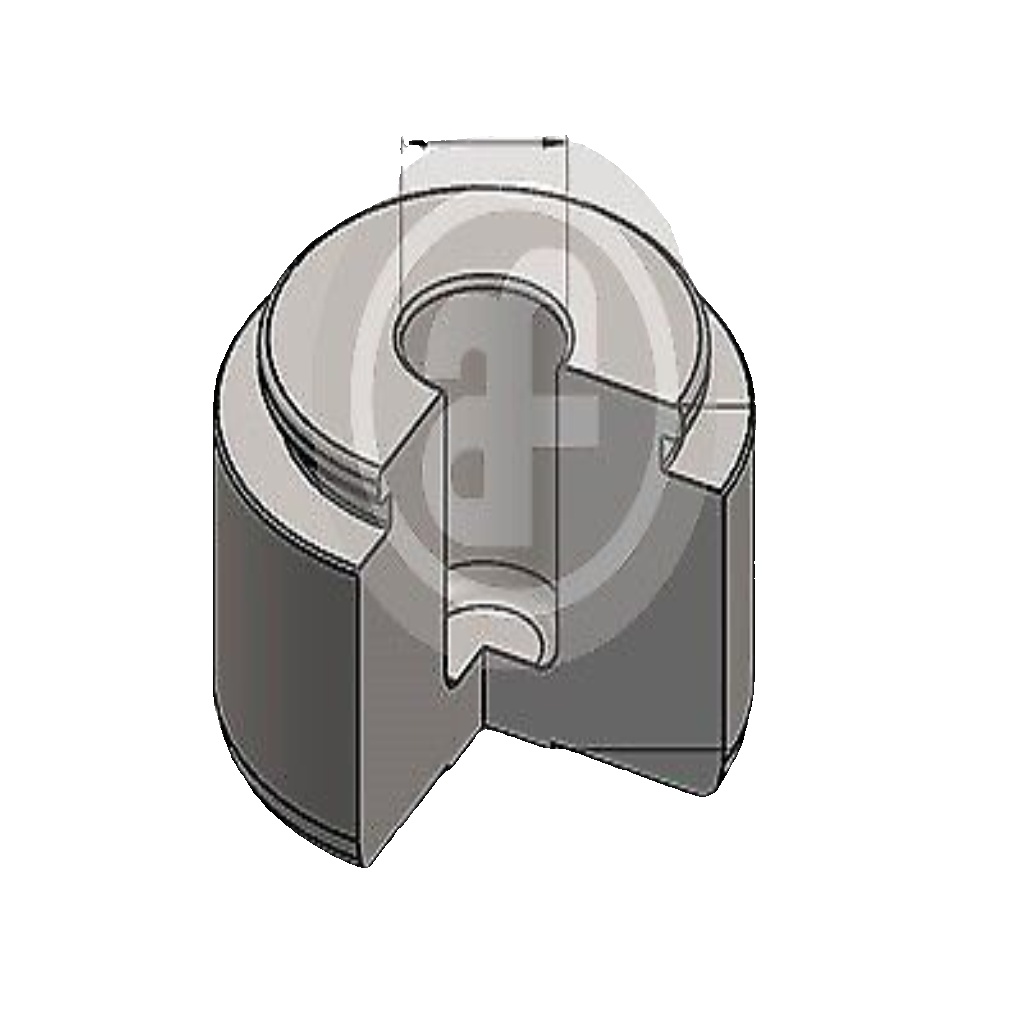 Brake caliper piston Front Axle D025814 AUTOFREN SEINSA for BMW 7 5 5 Touring X5