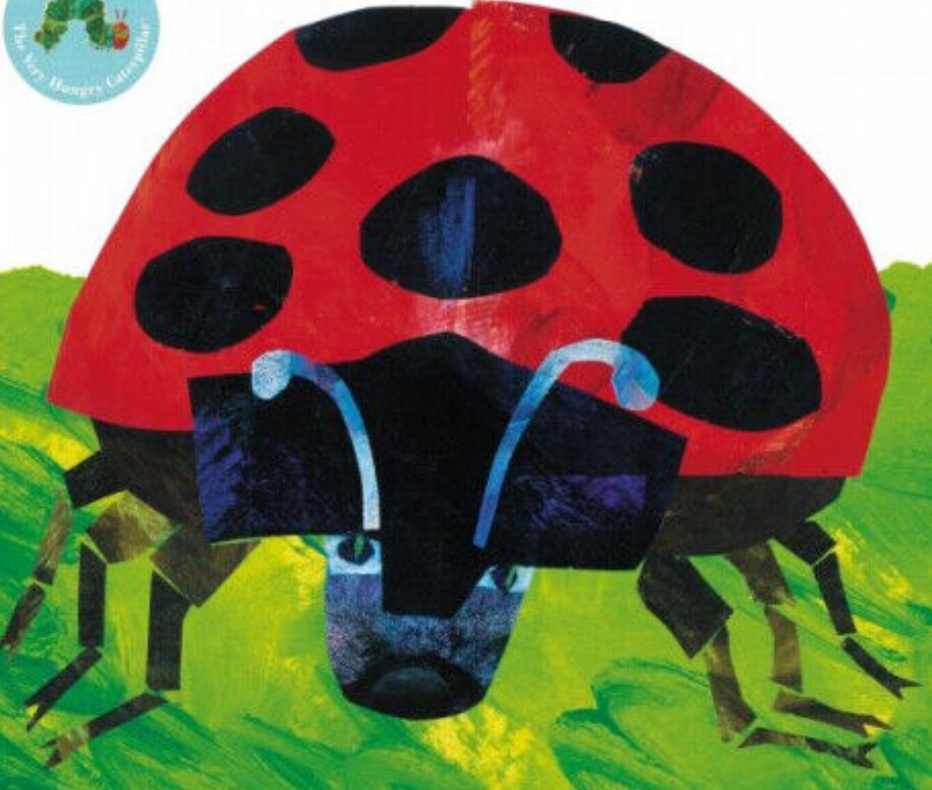 The Bad-tempered Ladybird by Eric Carle (Paperback Book)