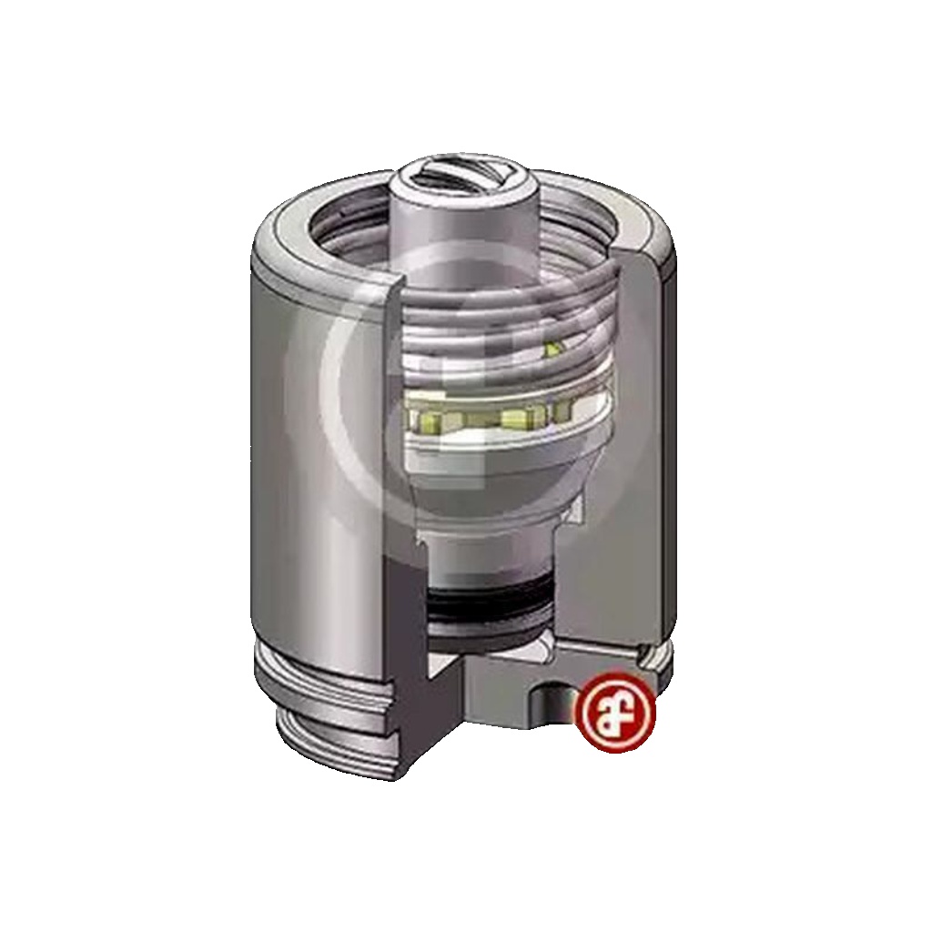 Rear AUTOFREN SEINSA D025558K Piston, brake caliper for CHEVROLET,OPEL,SAAB,VAUX