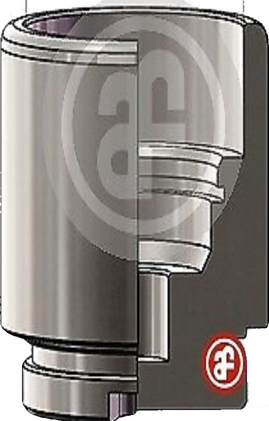 Rear AUTOFREN SEINSA D025705 Piston, brake caliper for TOYOTA