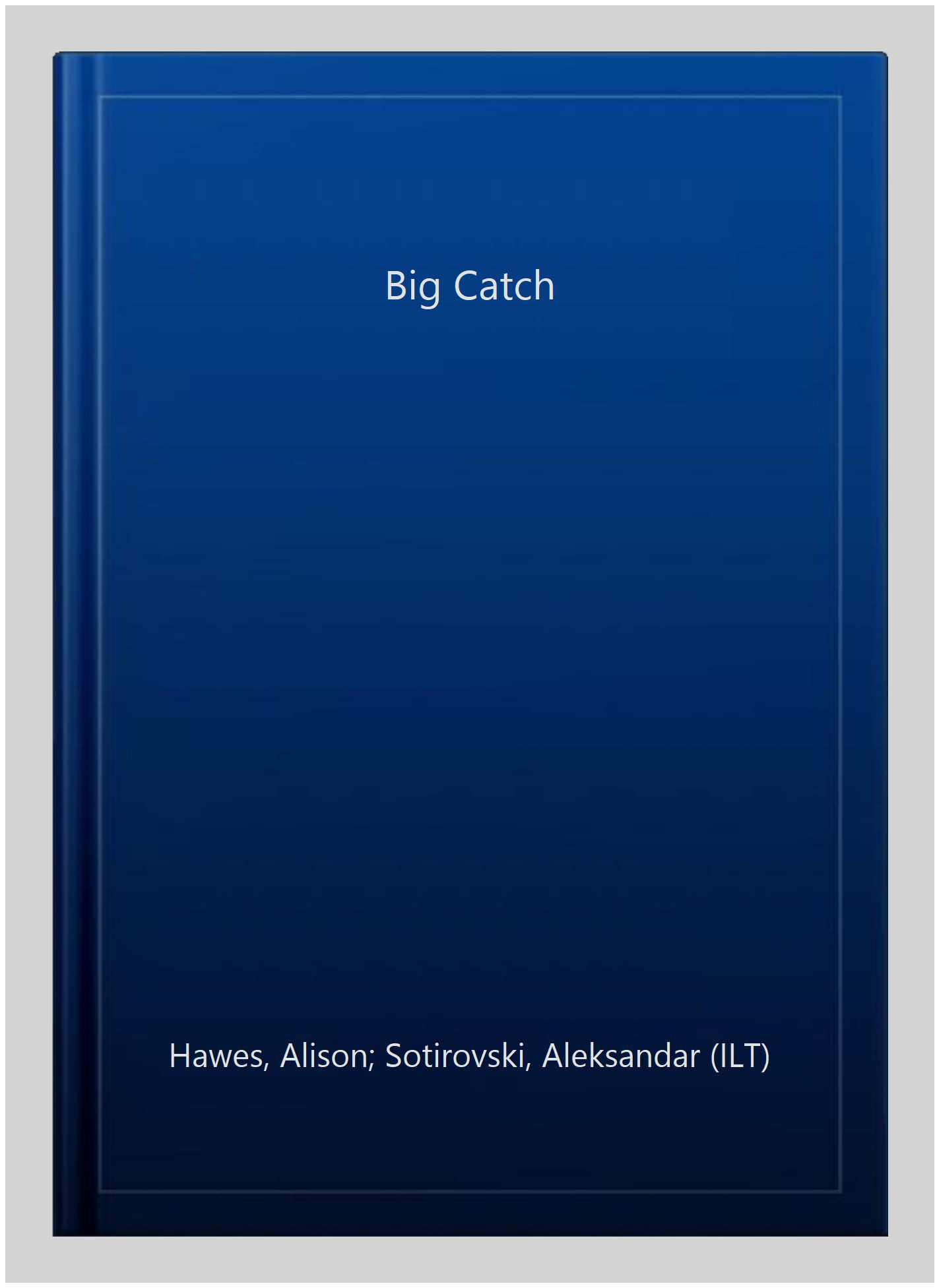A Big Catch by Alison Hawes, Aleksandar Sotirovski - 9781846918445 - Image 3