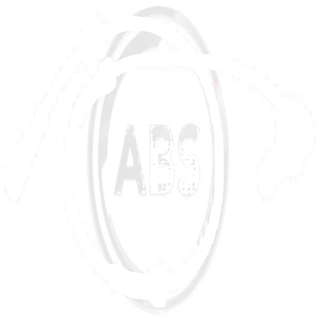 Abs Sensor Wheel Speed 31080 for Audi