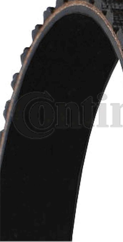 CT613 CONTINENTAL CTAM Timing Belt for FIAT