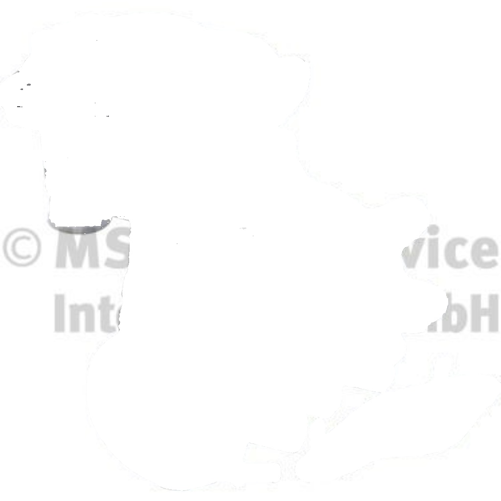 PIERBURG 7.04923.18.0 EGR Valve for JAGUAR,LAND ROVER