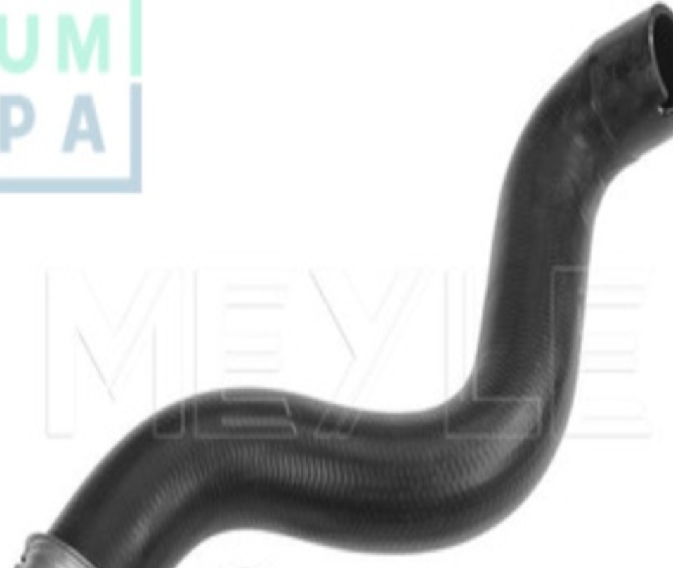 Lower Right MEYLE GERMANY 019 222 0026 Radiator Hose for MERCEDES-BENZ