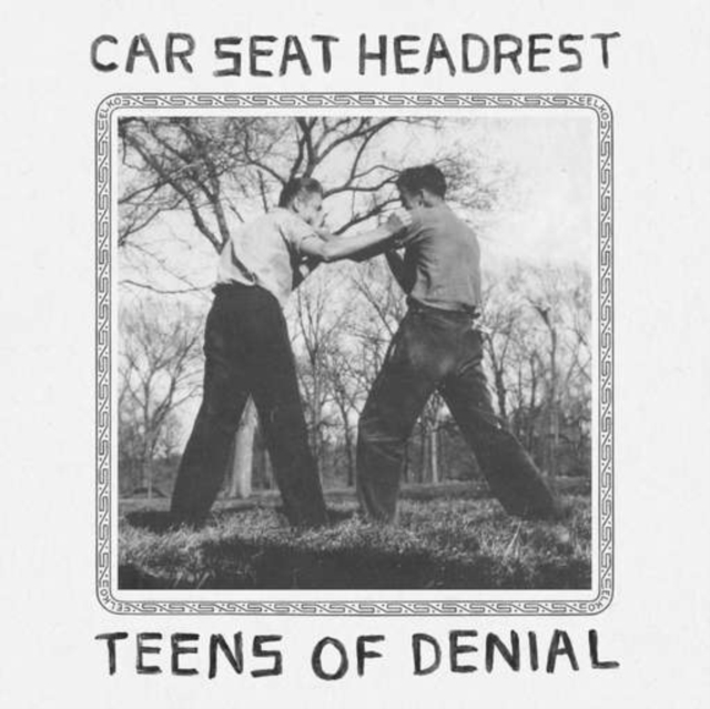 CAR SEAT HEADREST - Teens Of Denial - Vinyl (gatefold 2xLP)
