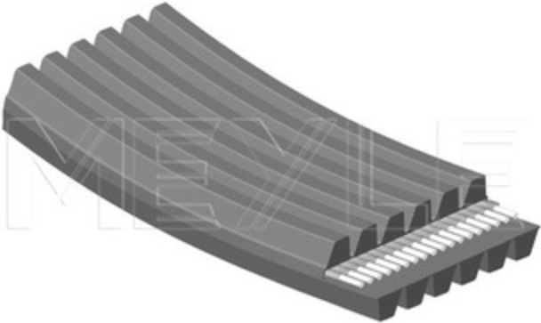 Original MEYLE V-Ribbed Belt 050 006 1697/D for BMW