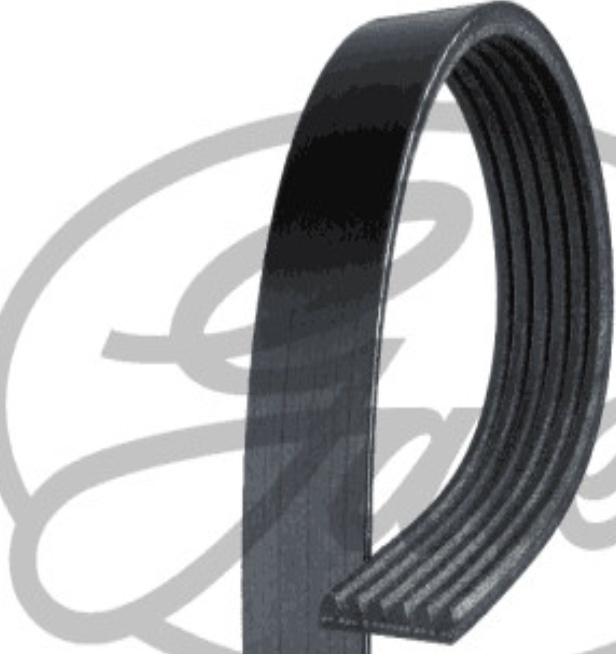 Gates Micro-V Multi-Ribbed Belt - 6PK1225