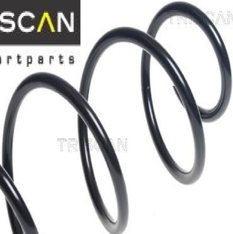 Front LESJÖFORS 4073001 Suspension Spring for RENAULT