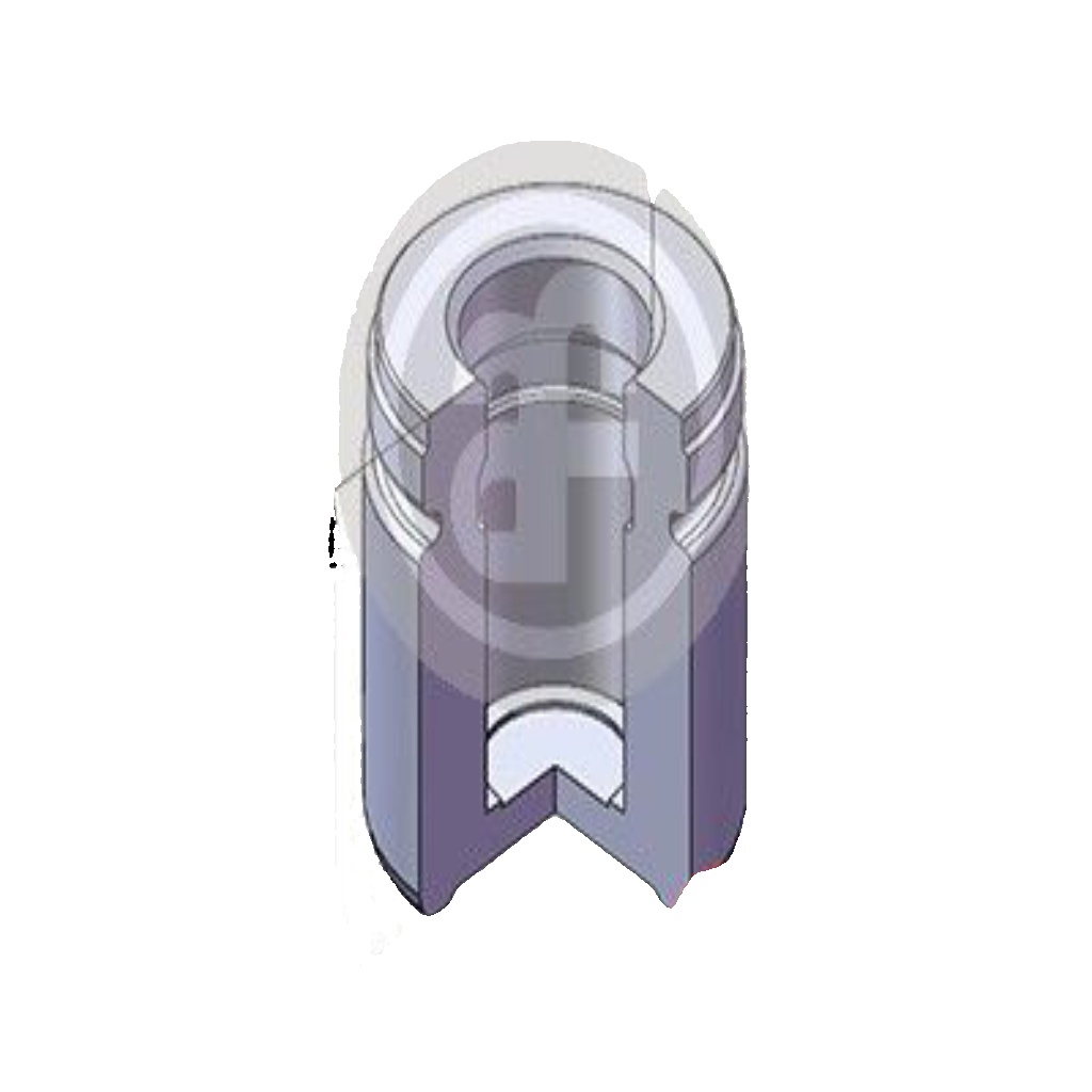 Rear AUTOFREN SEINSA D02577 Piston, brake caliper for BMW,MG,ROVER,SAAB