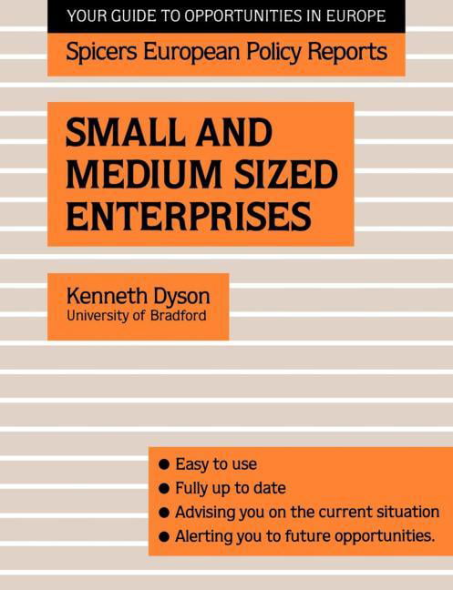 Small and Medium Sized Enterprises - 9780415038294