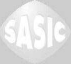 Fits SASIC 2300028 L R STABILIZER BAR STUB AXLE  ⭐UK Stock⭐