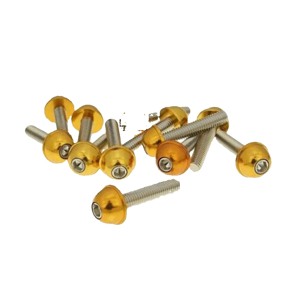 Kit 12 Screws Allen Head Convex m6x30 Gold V Parts for Moto Spare Parts