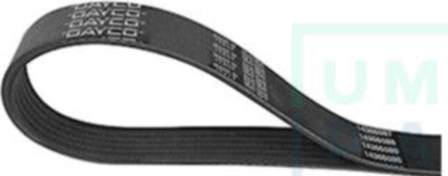 DAYCO-OE 5PK700 V-Ribbed Belt for CITROËN,PEUGEOT
