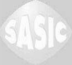 Rear left and right SASIC 2656101 Rubber Buffer, suspension for AUDI,SEAT,SKODA,