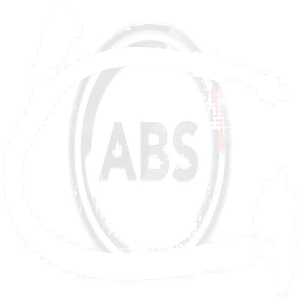 SL 6694 A.B.S. Brake Hose for HYUNDAI