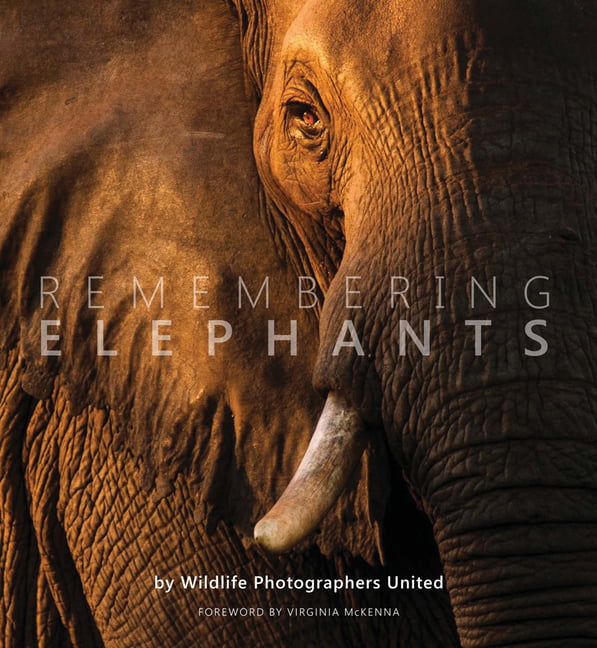 Remembering Elephants: 1 (Remembering Wildlife). Raggett 9781999643348 New** - Image 4