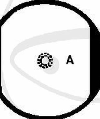 EBC Brake Pads FA073 fits Kawasaki Z 250 400 440 500 650 1000 A J C D B SR H MK2