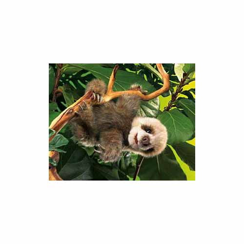 Folkmanis Baby Sloth Hand Puppet
