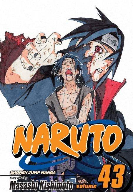 Naruto, Vol. 43 Volume 43
