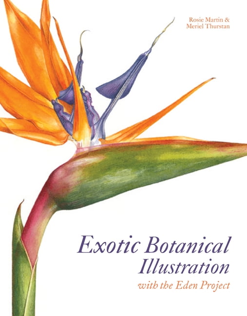 Exotic Botanical Illustration: with the Eden Project by Meriel Thurstan NEW - Image 3