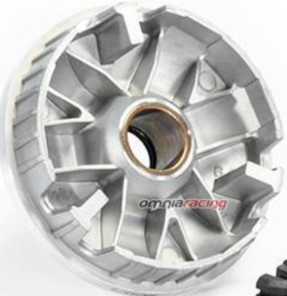 Free Shipping Polini-Motor Minarelli Horizontal/Vertical Variator For Motorcycle
