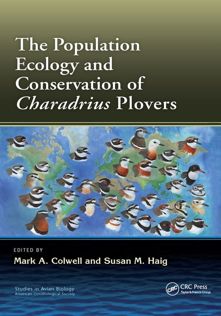 Population Ecology and Conservation of Charadrius Plovers - Image 2