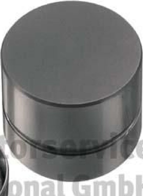 50006460 Tappet Fits Audi A3 Quattro V8 90 B2 B3 A4 B5 Avant A6 C4 Avant C5 Ford