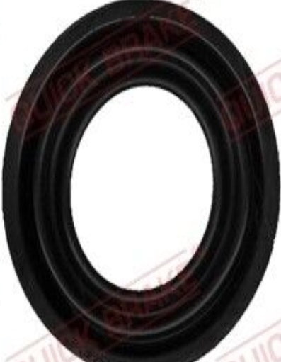 Rear QUICK BRAKE 114-0259 Repair Kit, brake caliper for FORD
