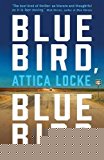 Attica Locke Bluebird, Bluebird Paperback Fiction Book