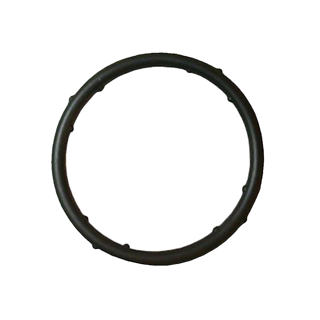 JP GROUP 1119606300 Gasket, coolant flange