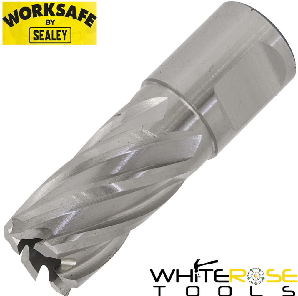 Worksafe Rotabor Cutter HSS Ø17mm - Cut Depth 25mm