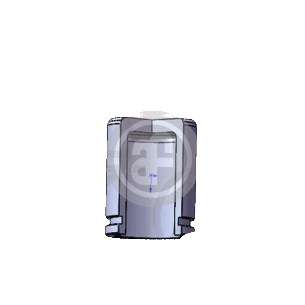 Rear AUTOFREN SEINSA D025280 Piston, brake caliper for CITROËN,FIAT,IVECO,PEUGEO