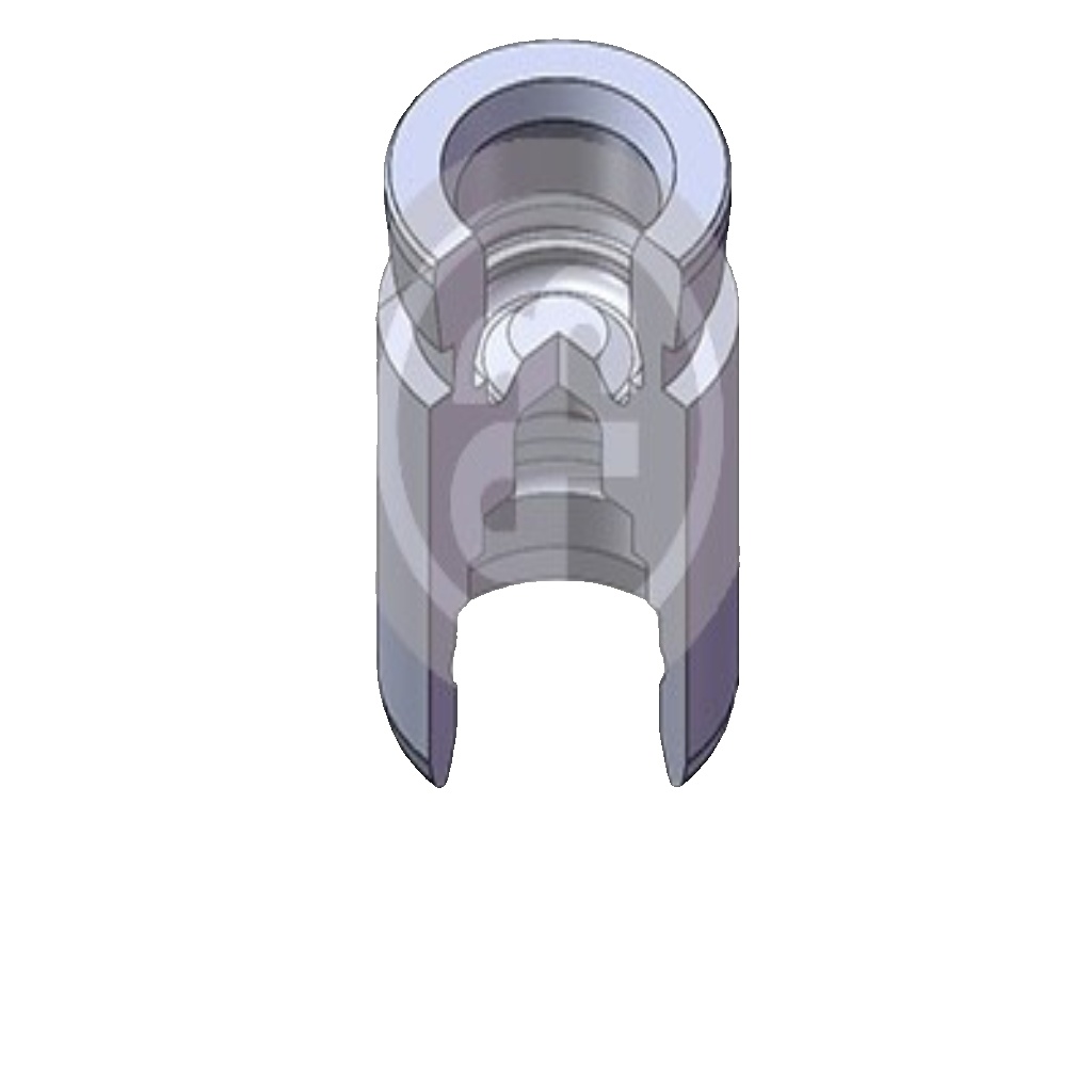 AUTOFREN SEINSA D025652 Piston, brake caliper for MAZDA