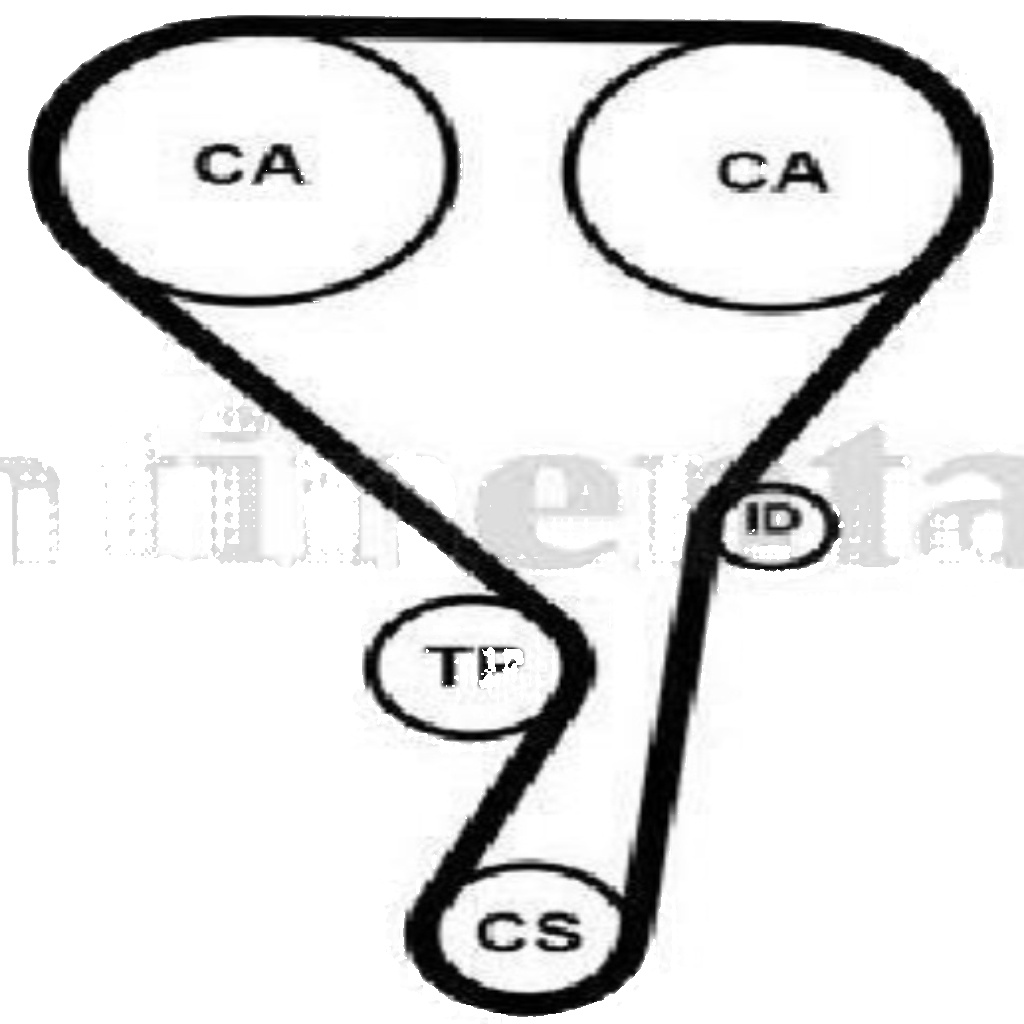 CT1215 CONTINENTAL CTAM TIMING BELT FOR POLESTAR VOLVO