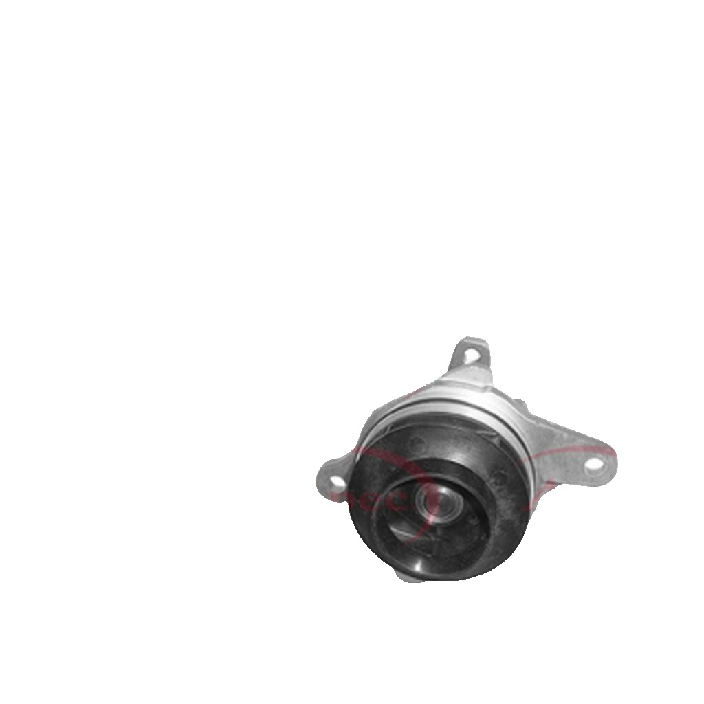 For NISSAN QASHQAI / QASHQAI +2 I 2006 to 2014 WATER PUMP AWP1460
