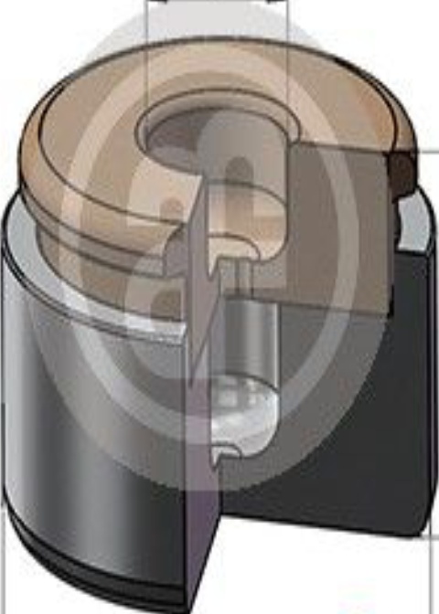 Front AUTOFREN SEINSA D025731 Piston, brake caliper for ,AUDI
