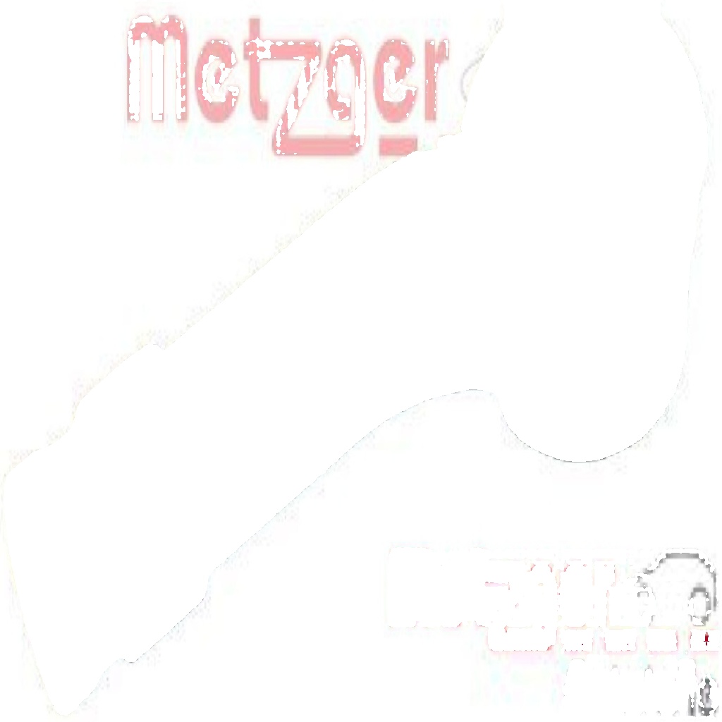 Original METZGER Tie Rod End 54041602 for Ford