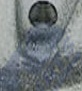 Fits NTY HZP-AU-004 BRAKE CALIPER FRONT - Image 4